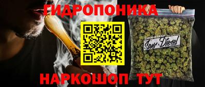 молекула духа Волжский