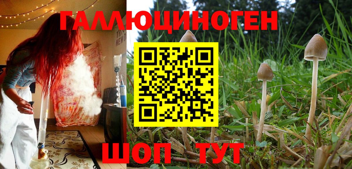 Псилоцибиновые грибы MAGIC MUSHROOMS Полевской